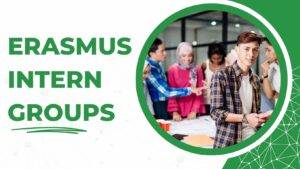 erasmus-internship